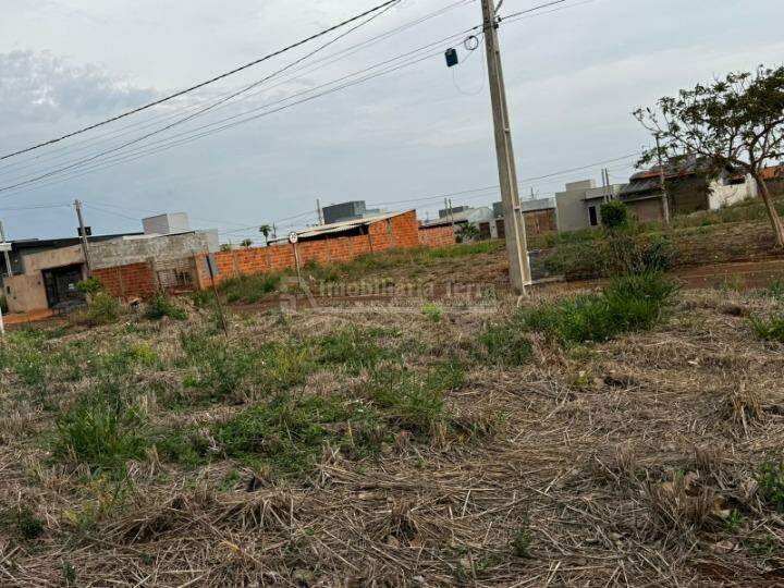Terreno/Lote no Vival dos Ipês em Dourados/MS — foto 7