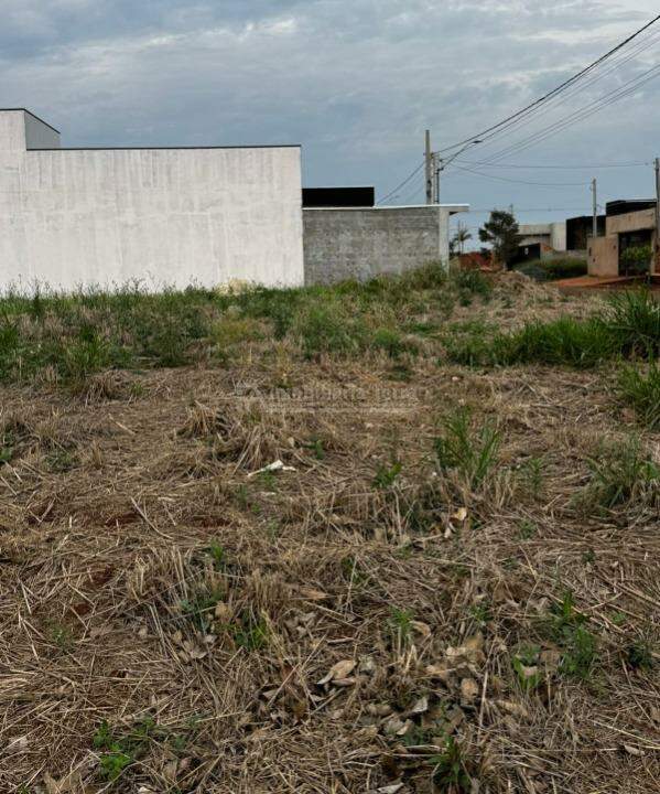 Terreno/Lote no Vival dos Ipês em Dourados/MS — foto 4