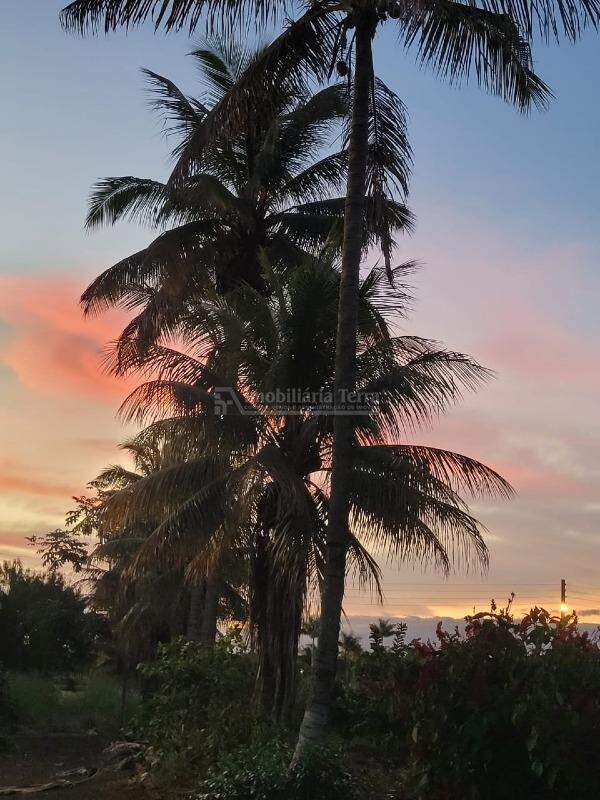 Rural com 4 quartos no Chácaras Ipês em Dourados/MS — foto 18