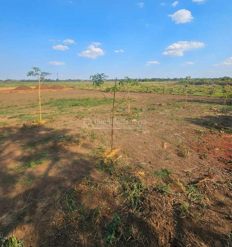 Terreno/Lote no Zona Rural em Fátima do Sul/MS — foto 2
