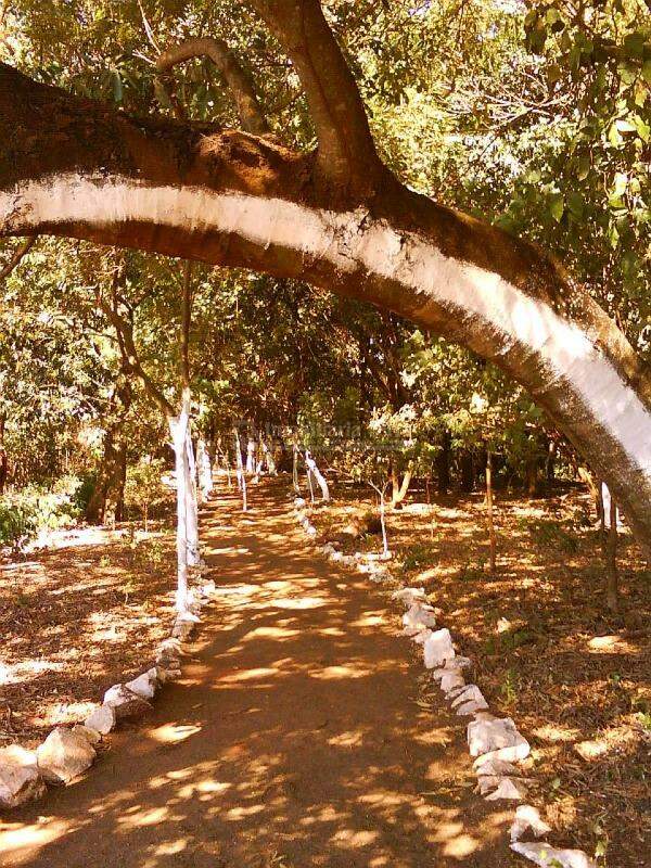 Rural com 1 quartos no Jardim Cristhais em Dourados/MS — foto 10