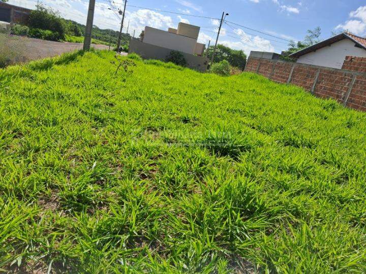 Terreno/Lote no Cidade Jardim I em Dourados/MS — foto 4