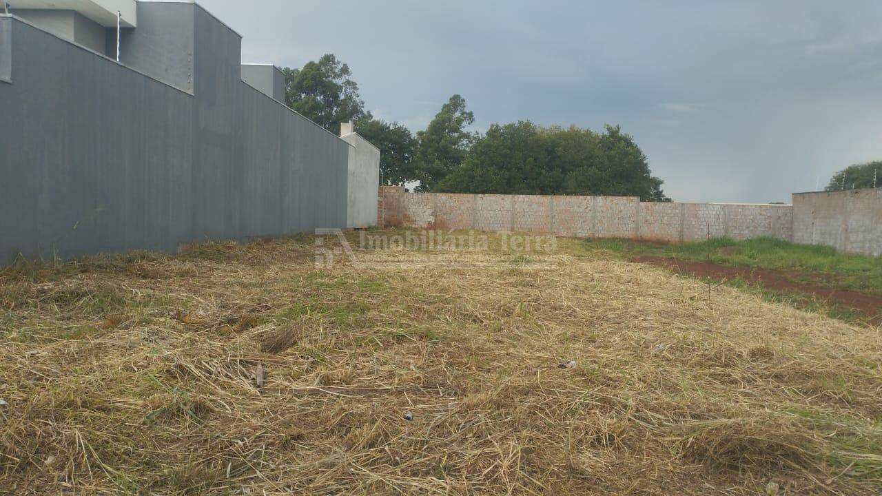 Terreno/Lote no Jardim Cristhais em Dourados/MS — foto 2