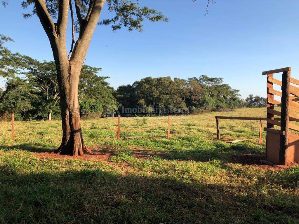 Rural com 2 quartos no Zona Rural em Fátima do Sul/MS — foto 5