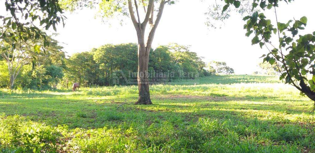 Rural com 2 quartos no Zona Rural em Fátima do Sul/MS — foto 4