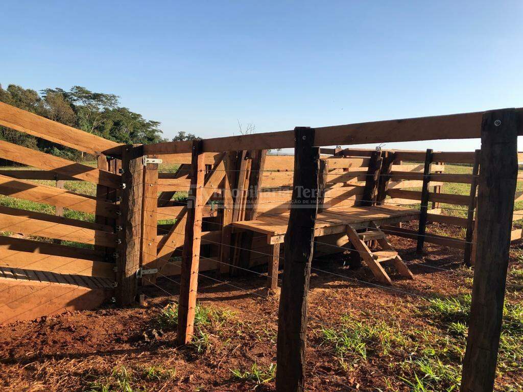 Rural com 2 quartos no Zona Rural em Fátima do Sul/MS — foto 6