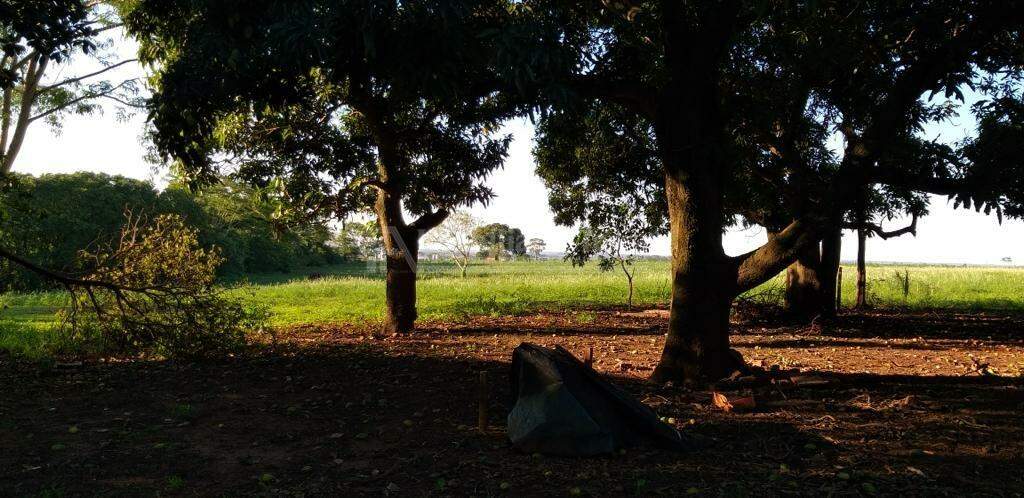 Rural com 2 quartos no Zona Rural em Fátima do Sul/MS — foto 3