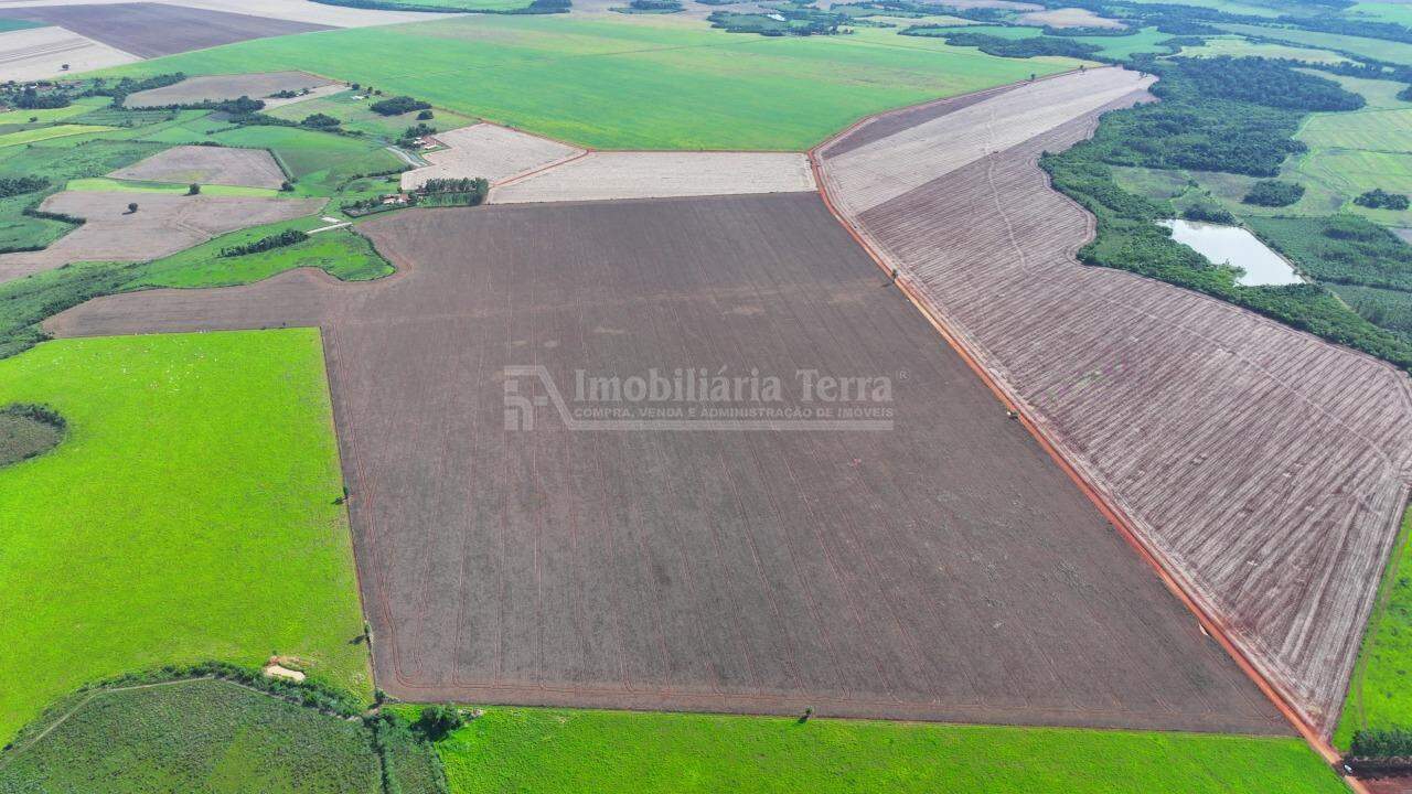 Rural no Zona Rural em Dourados/MS — foto 1