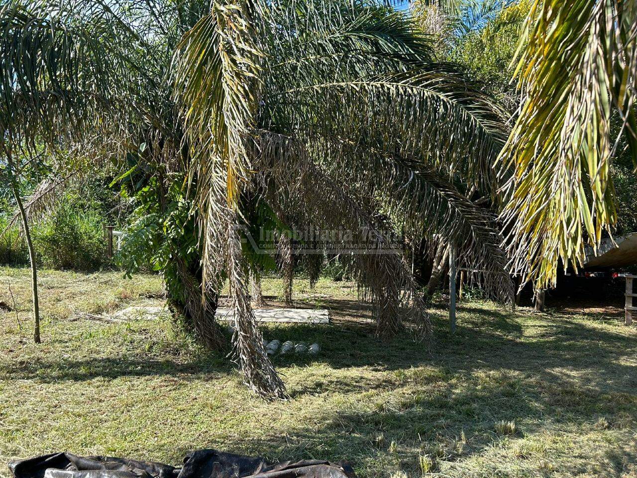 Rural no Zona Rural em Itaporã/MS — foto 5