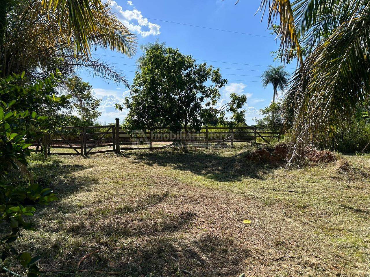 Rural no Zona Rural em Itaporã/MS — foto 1