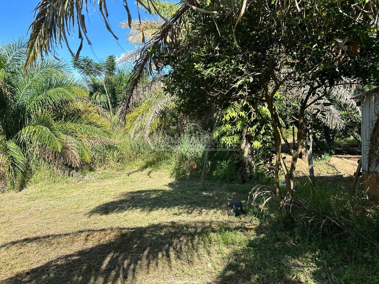 Rural no Zona Rural em Itaporã/MS — foto 4