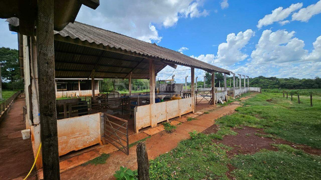 Rural com 4 quartos no Zona Rural em Dourados/MS — foto 7