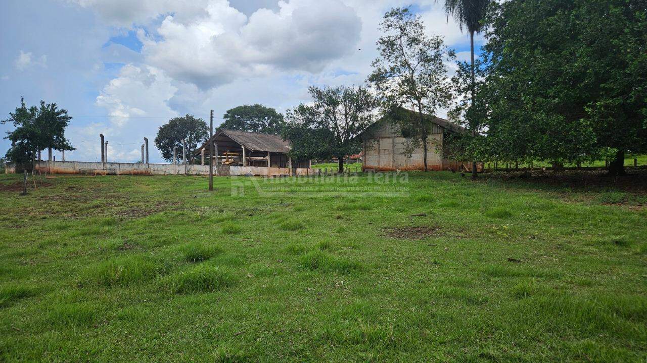 Rural com 4 quartos no Zona Rural em Dourados/MS — foto 5
