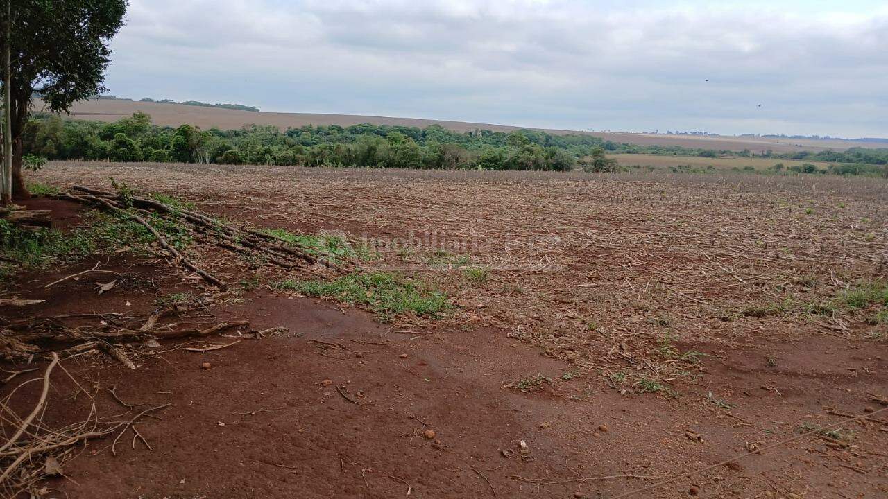 Rural no Itahum em Dourados/MS — foto 4