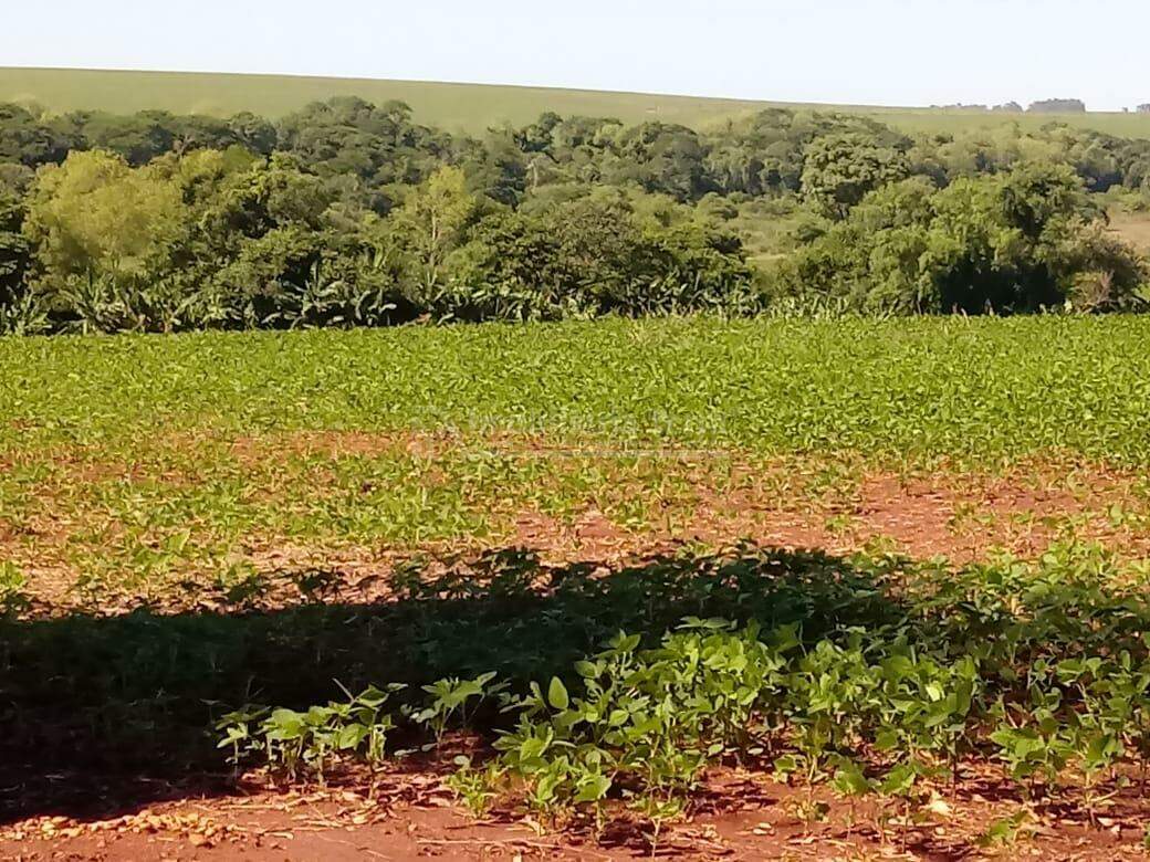 Rural no Itahum em Dourados/MS — foto 6
