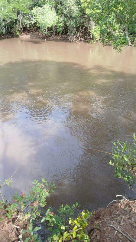 Rural no Itahum em Dourados/MS — foto 8
