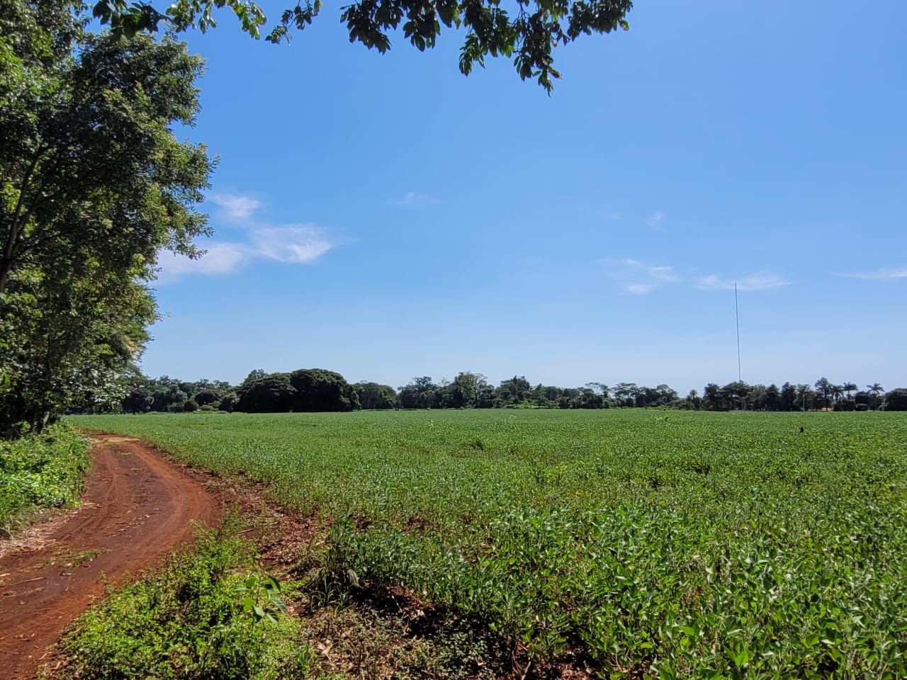 Rural no Parte Chácara 161 em Dourados/MS — foto 6
