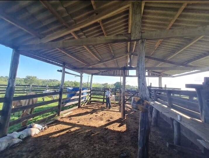 Rural no Zona Rural em Bonito/MS — foto 4
