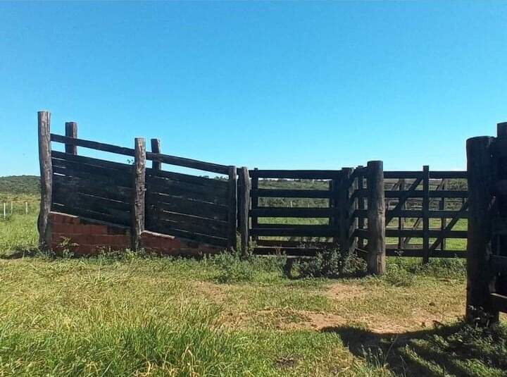 Rural no Zona Rural em Bonito/MS — foto 5