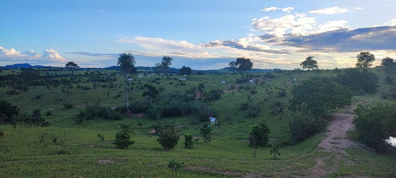 Rural no Zona Rural em Bonito/MS — foto 12