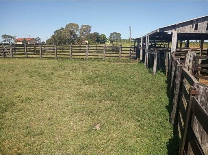 Rural no Zona Rural em Bonito/MS — foto 10