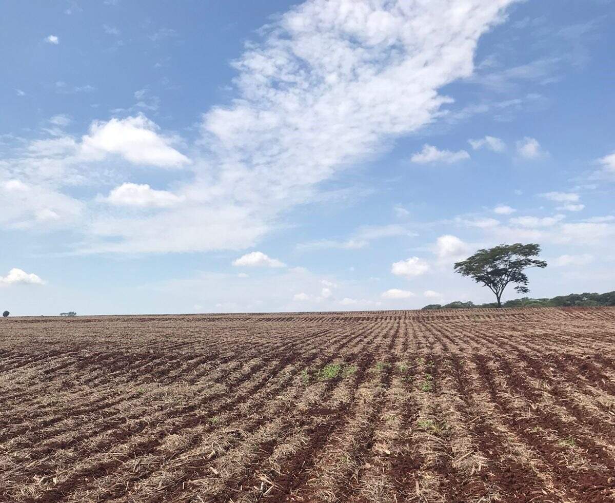 Rural no Zona Rural em Itaporã/MS — foto 4