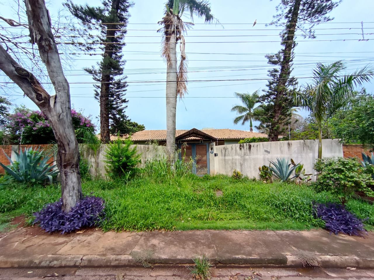 Casa com 6 quartos no Vila São Luiz em Dourados/MS — foto 3