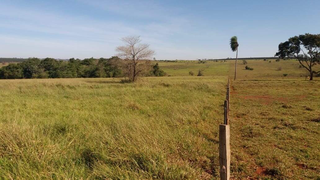 Rural no BR 376 em Glória de Dourados/MS — foto 1