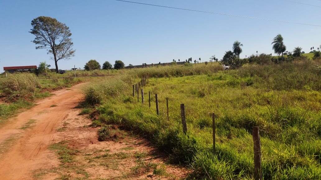 Rural no BR 376 em Glória de Dourados/MS — foto 2