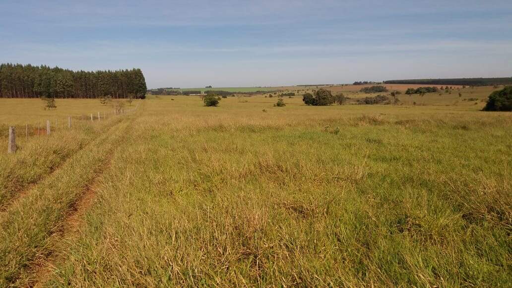 Rural no BR 376 em Glória de Dourados/MS — foto 6