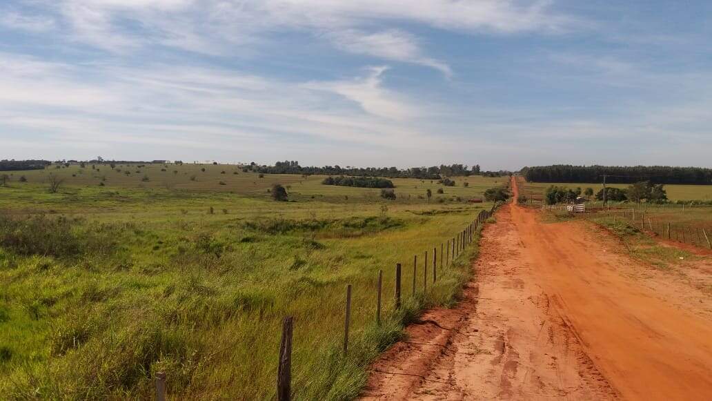 Rural no BR 376 em Glória de Dourados/MS — foto 3
