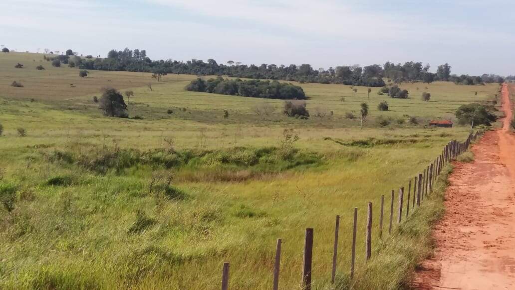 Rural no BR 376 em Glória de Dourados/MS — foto 10
