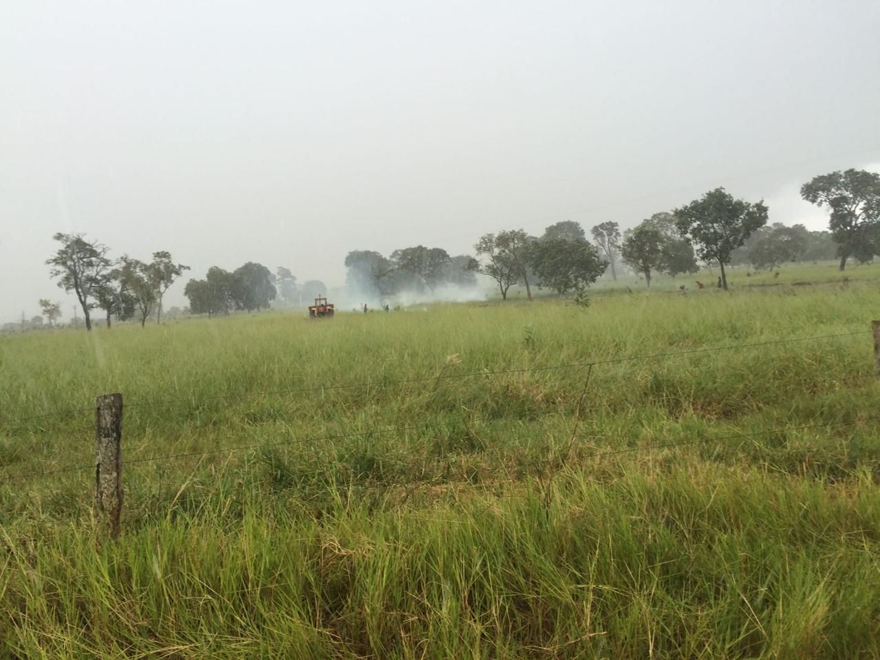 Rural no Zona Rural em Nova Alvorada do Sul/MS — foto 4