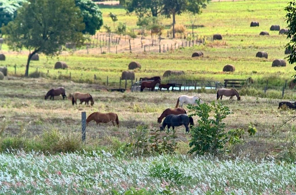Rural no Zona Rural em Figueirão/MS — foto 5