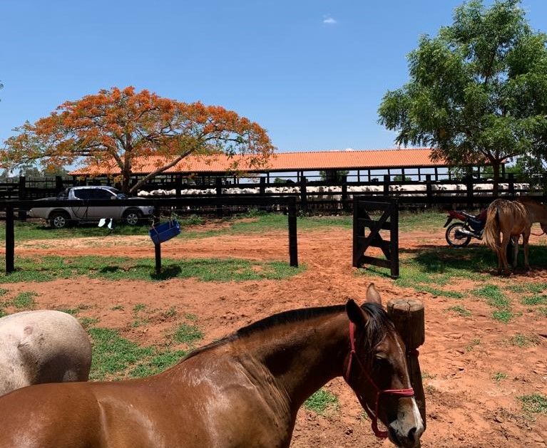 Rural no Zona Rural em Figueirão/MS — foto 4