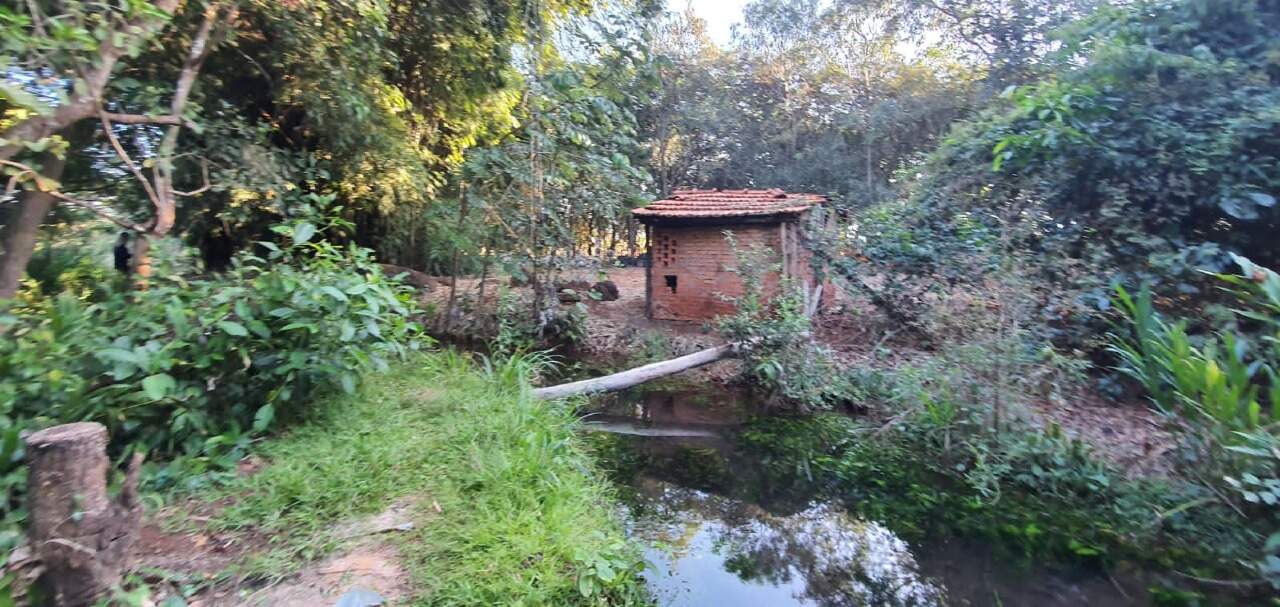 Rural no Altos Do Indaiá em Dourados/MS — foto 6