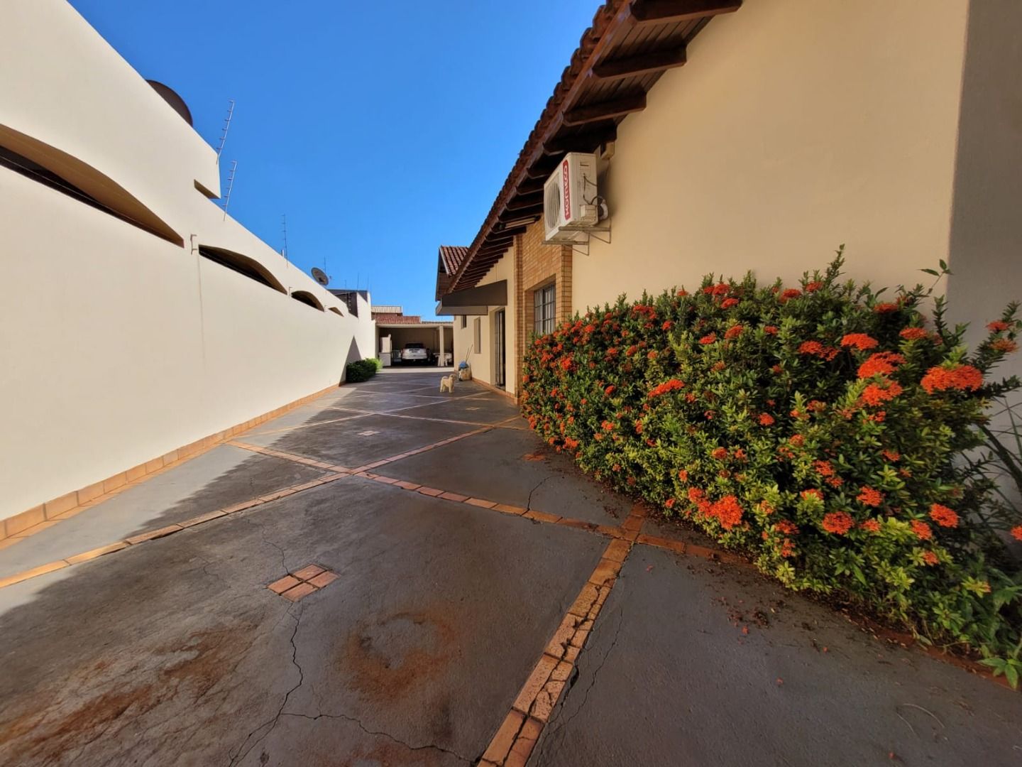 Casa com 5 quartos no Vila Progresso em Dourados/MS — foto 4