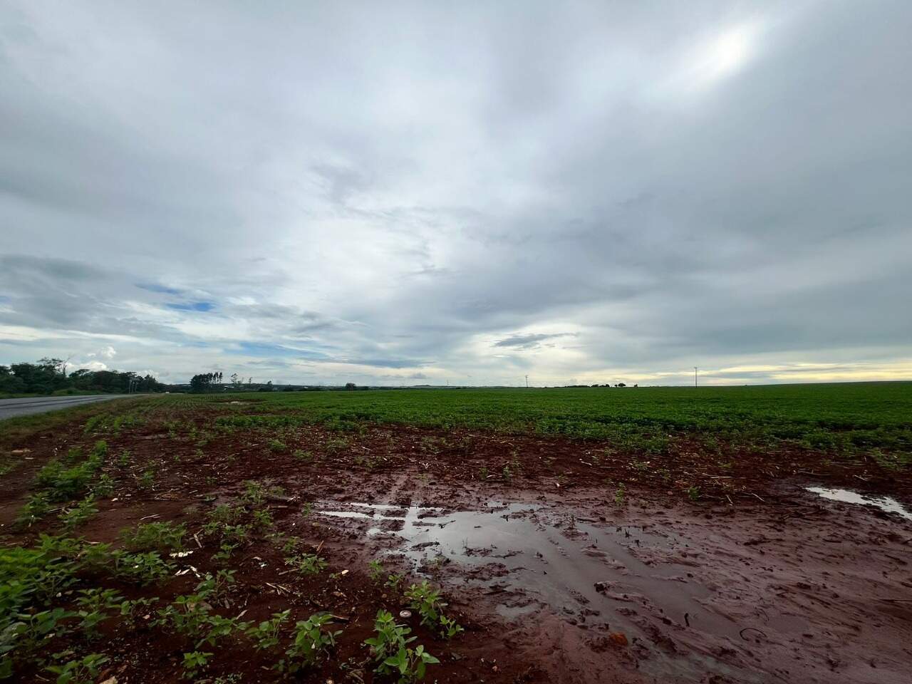 Rural no Área Rural de Dourados em Dourados/MS — foto 2