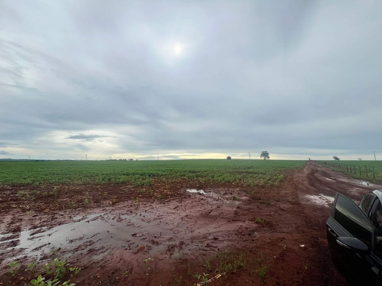 Rural no Área Rural de Dourados em Dourados/MS — foto 1