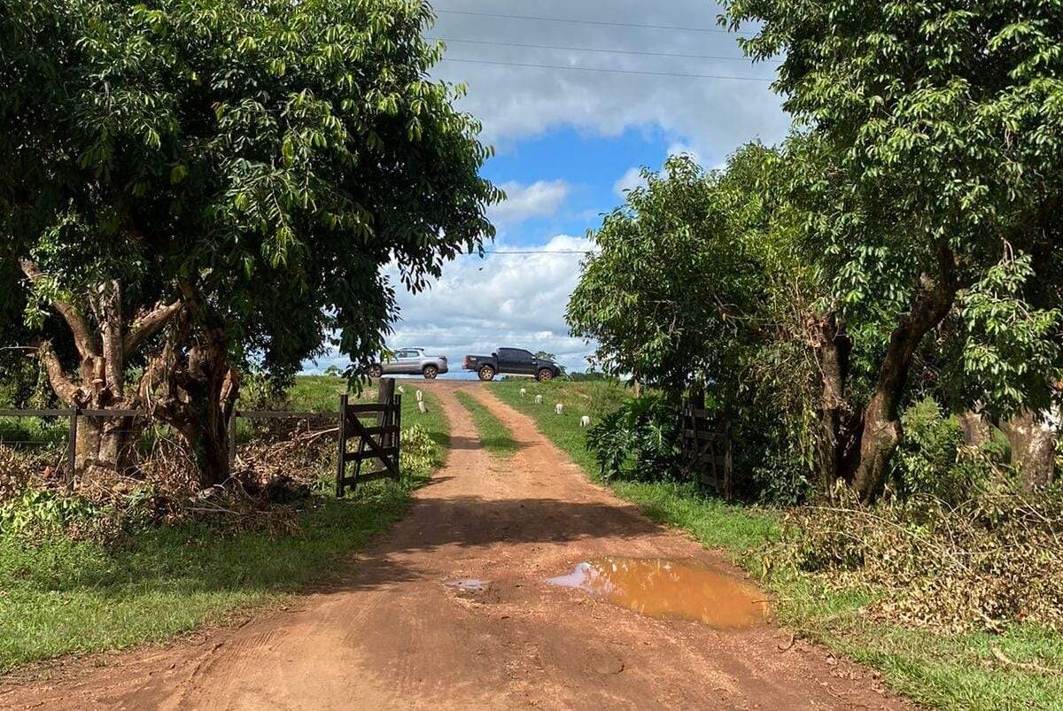 Rural no Zona Rural em Ponta Porã/MS — foto 3