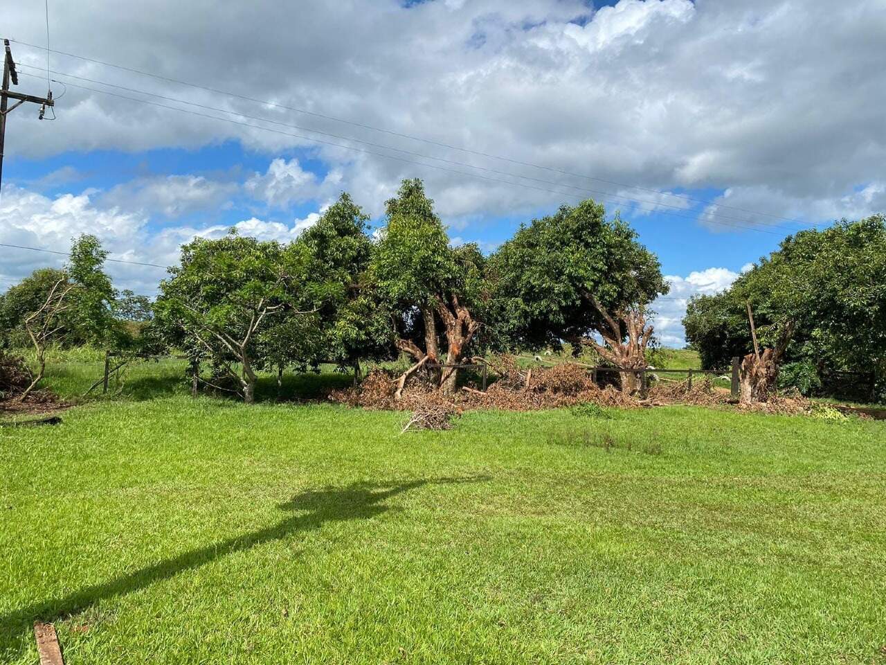 Rural no Zona Rural em Ponta Porã/MS — foto 4