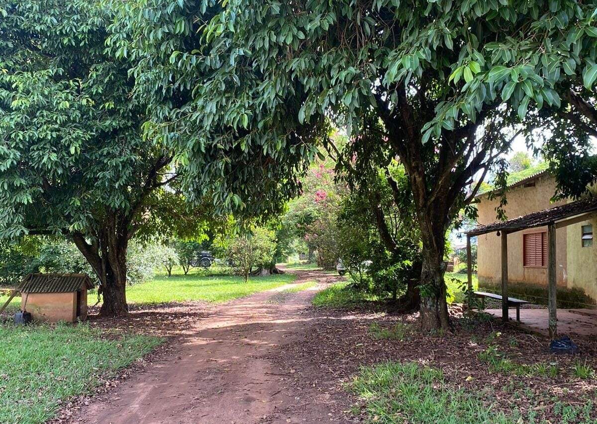 Rural no Zona Rural em Ponta Porã/MS — foto 2