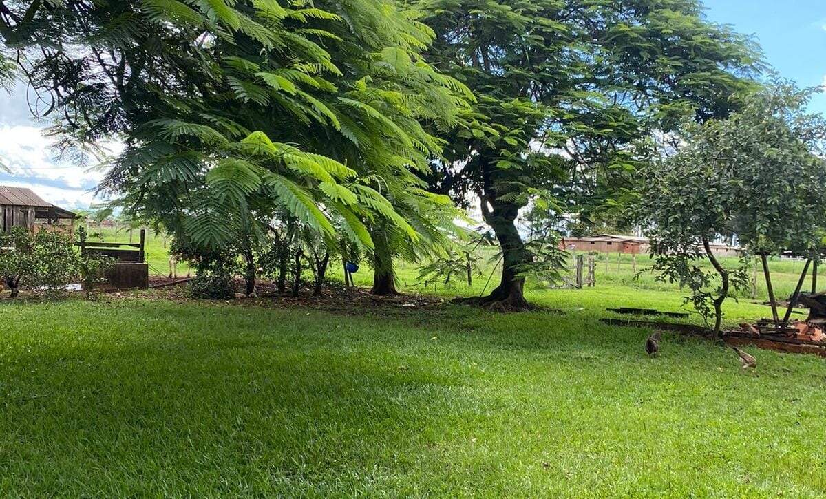 Rural no Zona Rural em Ponta Porã/MS — foto 7