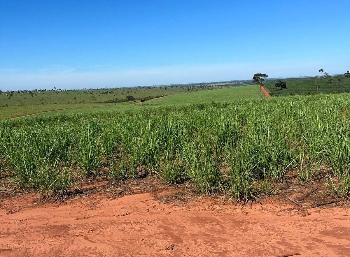 Rural no Área Rural em Deodápolis/MS — foto 1