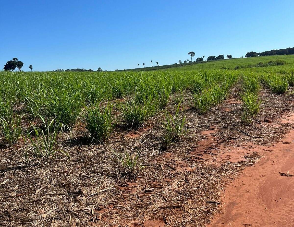 Rural no Área Rural em Deodápolis/MS — foto 3
