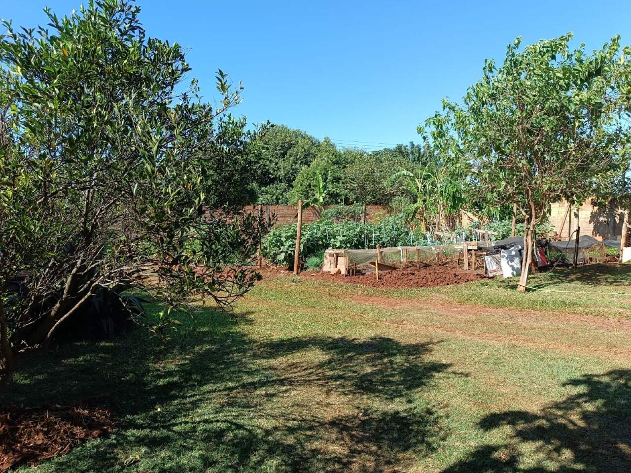 Rural com 3 quartos no Sitioca Ouro Fino em Dourados/MS — foto 18