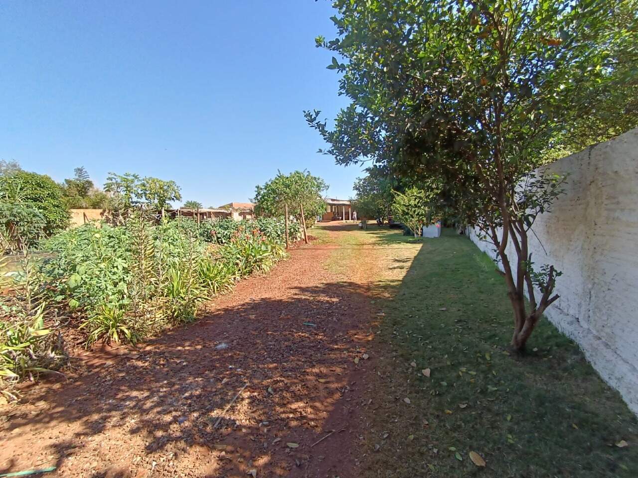 Rural com 3 quartos no Sitioca Ouro Fino em Dourados/MS — foto 20