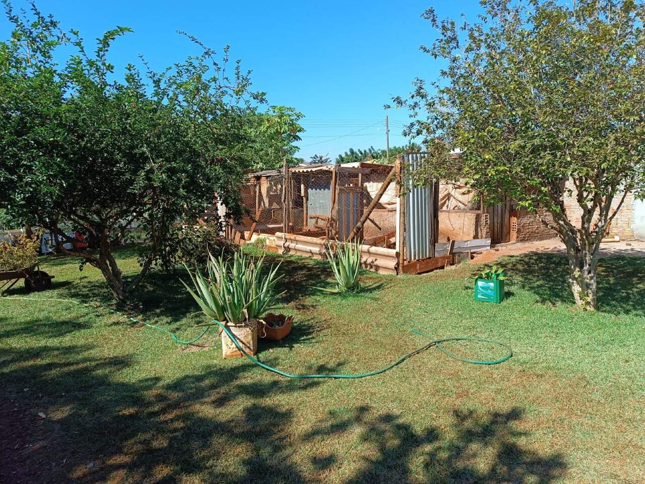 Rural com 3 quartos no Sitioca Ouro Fino em Dourados/MS — foto 17