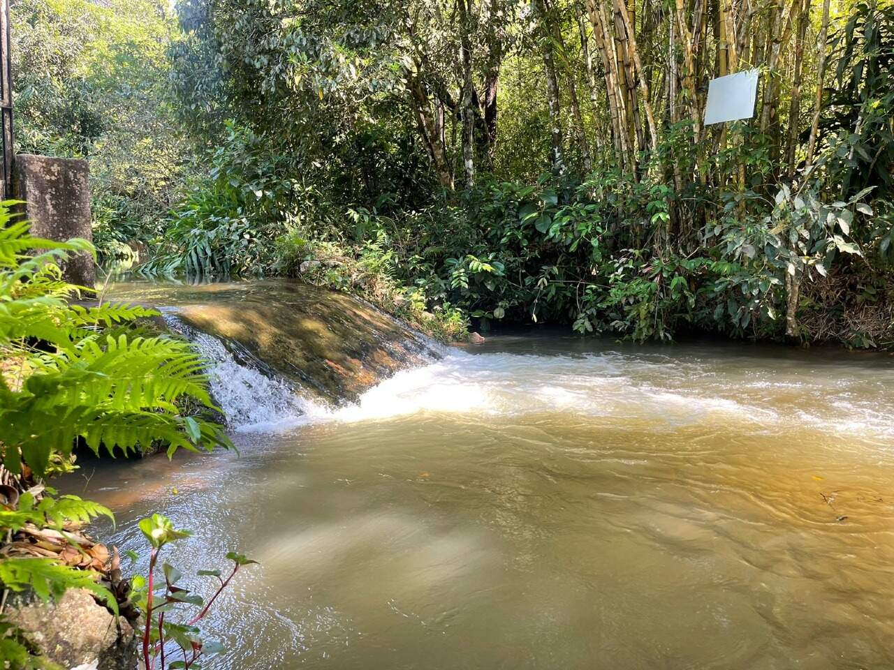 Rural com 3 quartos no Amambaí em Amambaí/MS — foto 22