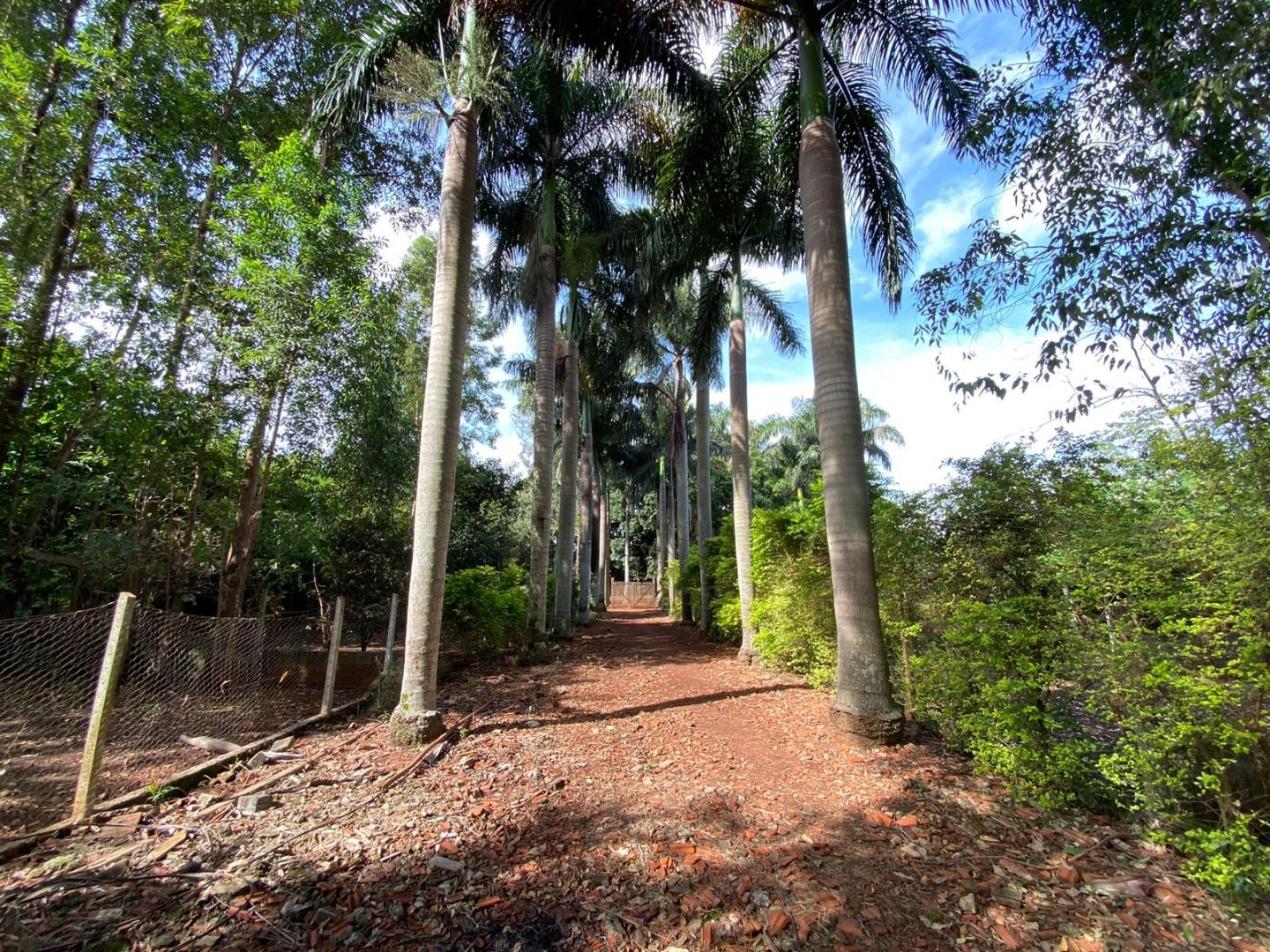 Rural com 1 quartos no Vila São Braz em Dourados/MS — foto 2